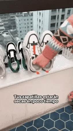 SECADOR DE ZAPATOS