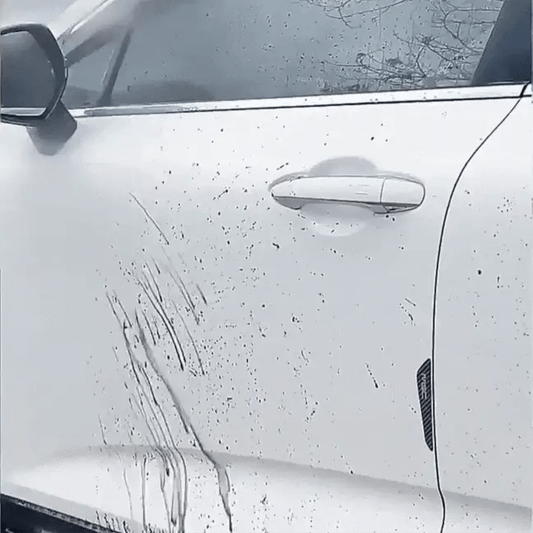 Hidrolavadora Portátil – Lava Autos y Hogar
